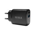 TESLA Power Charger T220 - Dual 25 W PD 3.0/PPS Fast Charger (Black)