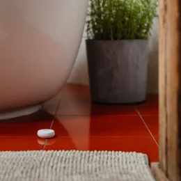 TESLA Smart Sensor Water - a smart sensor for detecting water leaks